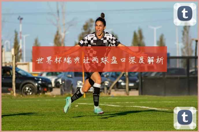 世界杯瑞典让两球盘口深度解析