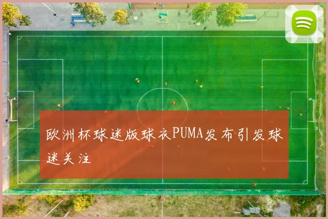 欧洲杯球迷版球衣PUMA发布引发球迷关注