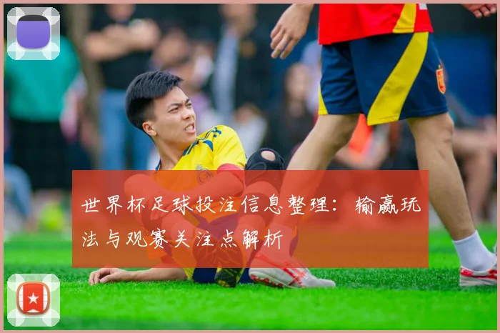 世界杯足球投注信息整理：输赢玩法与观赛关注点解析